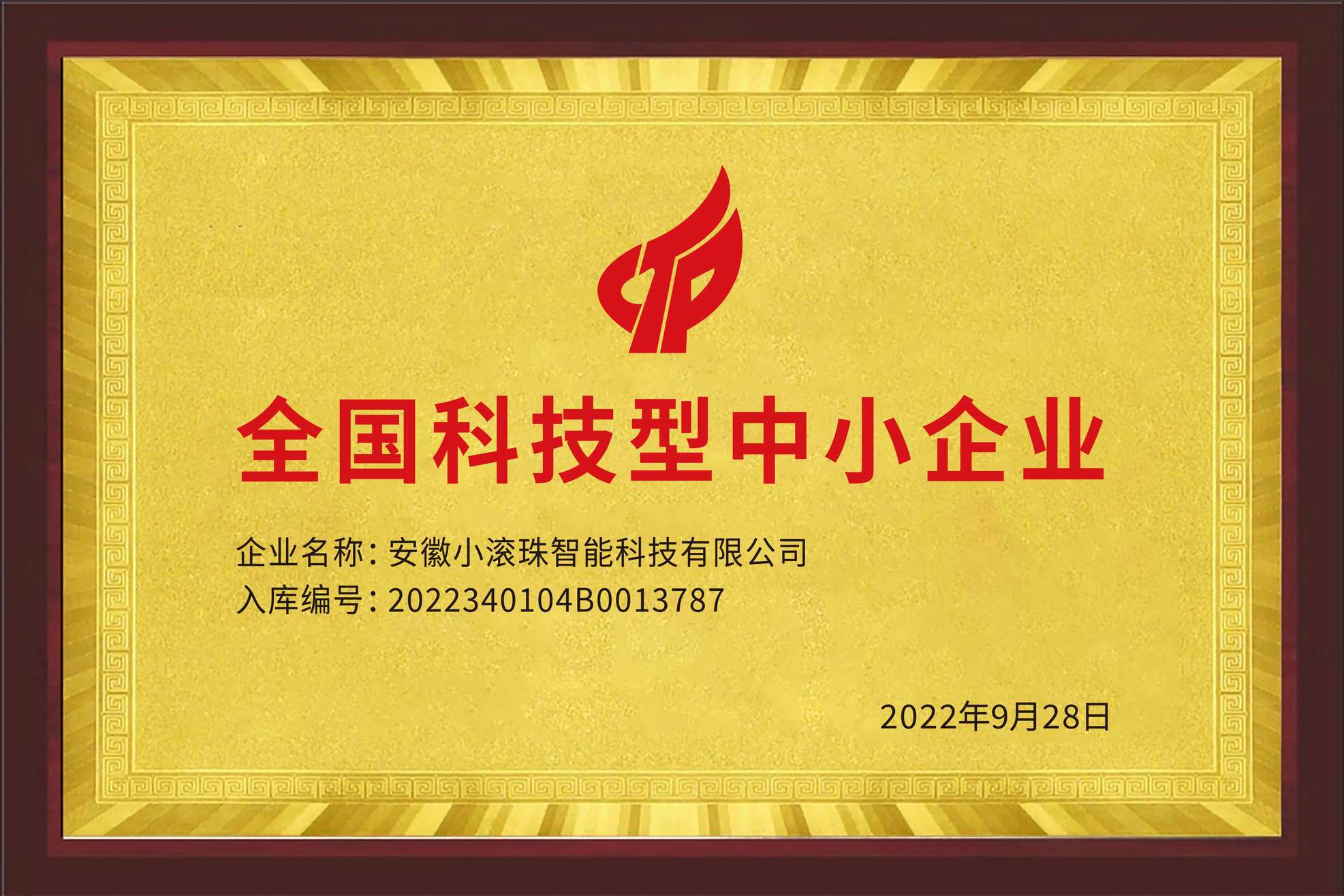 全国科技型中小企业